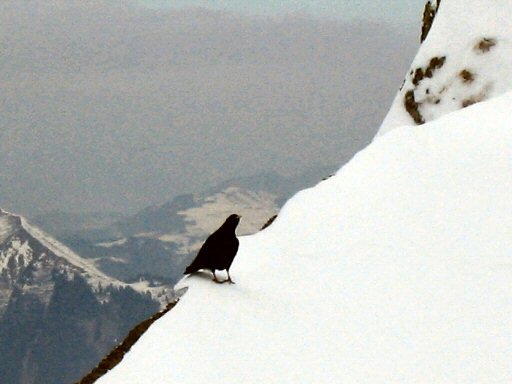 Col de Balafrasse