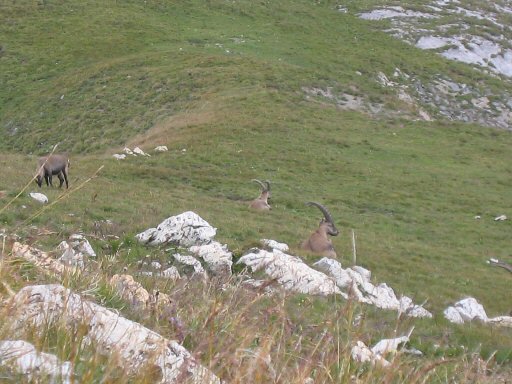 Le Grand Perron