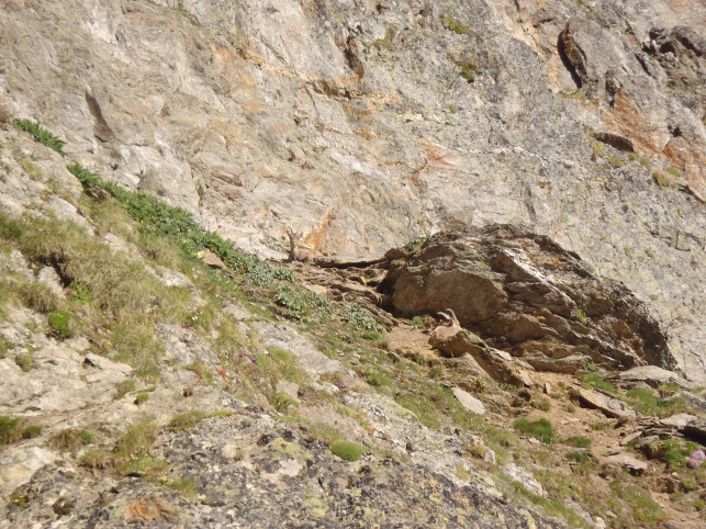 L&#039;Aiguille des Glaciers