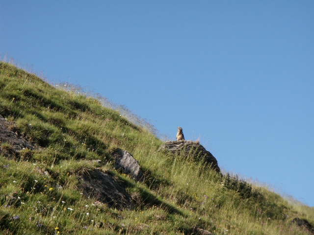 L'Aiguille des Glaciers