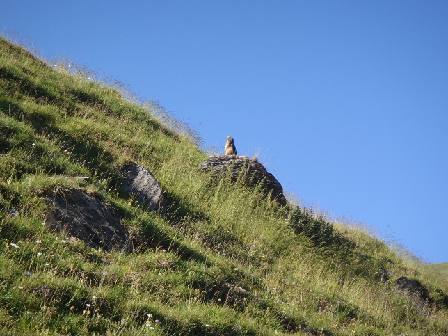 L'Aiguille des Glaciers