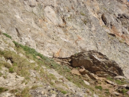 L&#039;Aiguille des Glaciers