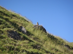 L&#039;Aiguille des Glaciers