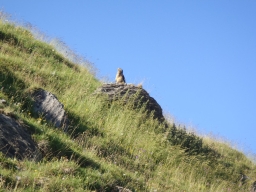 L&#039;Aiguille des Glaciers