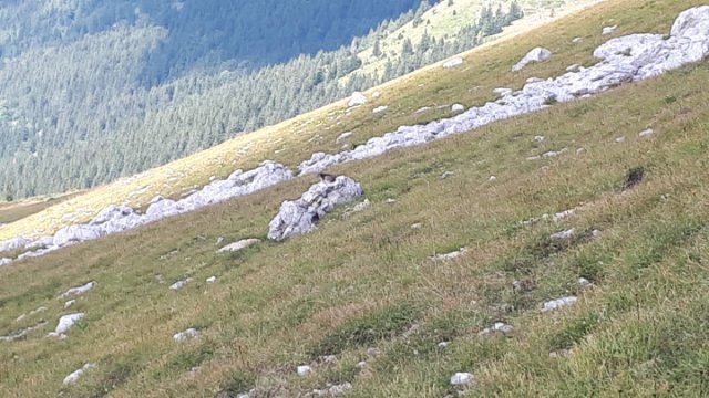Arêtes du Gerbier