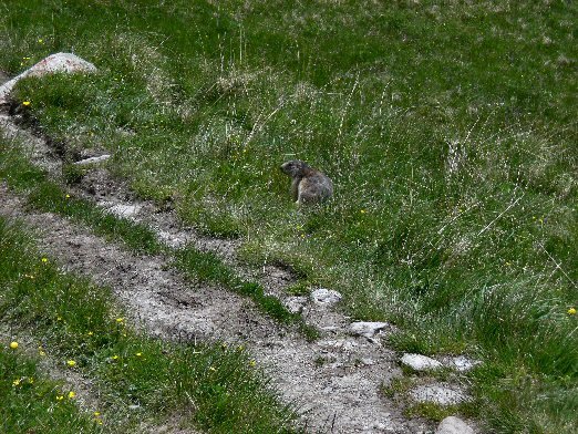 La Cime des Planettes
