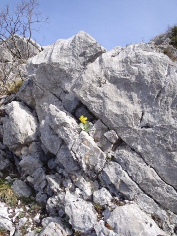 Arête du Roc des Boeufs